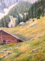 Paisaje alpino con cabaña y montañas